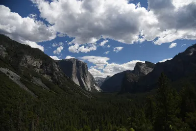 DSC_4327 (Large).JPG